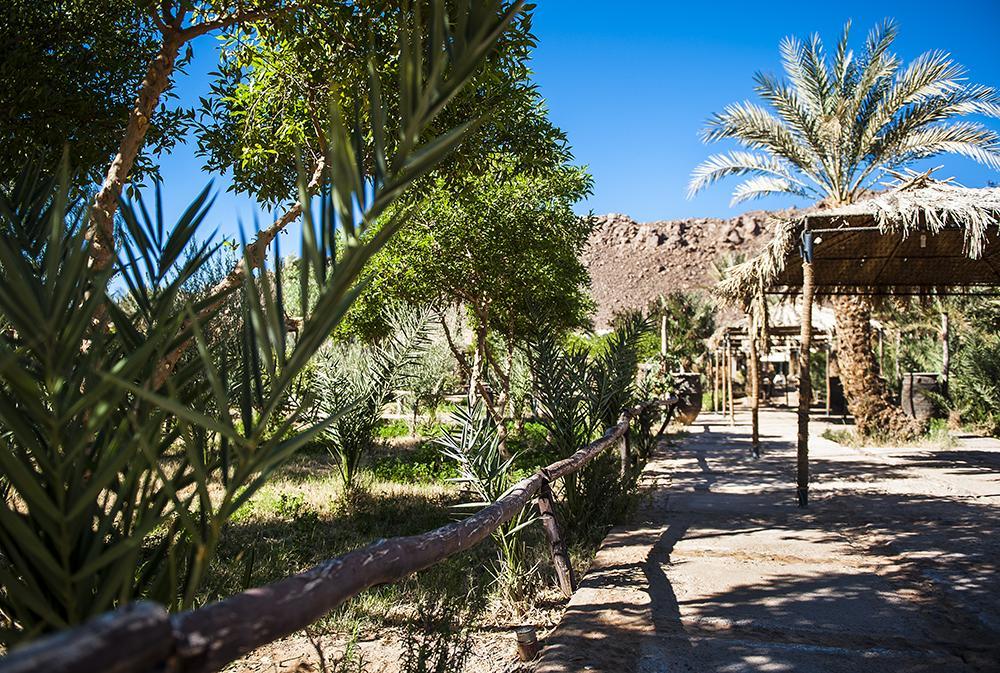 Hotel Bab Rimal Foum Zguid Exterior photo